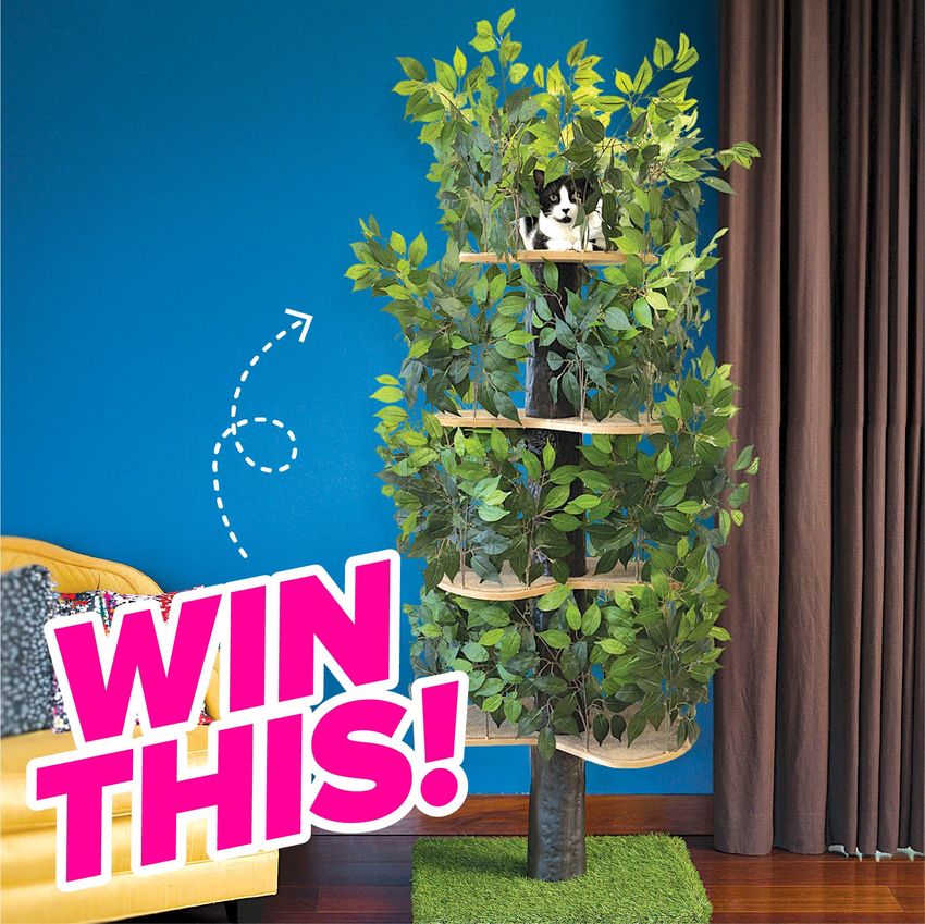 Giveaway image 1