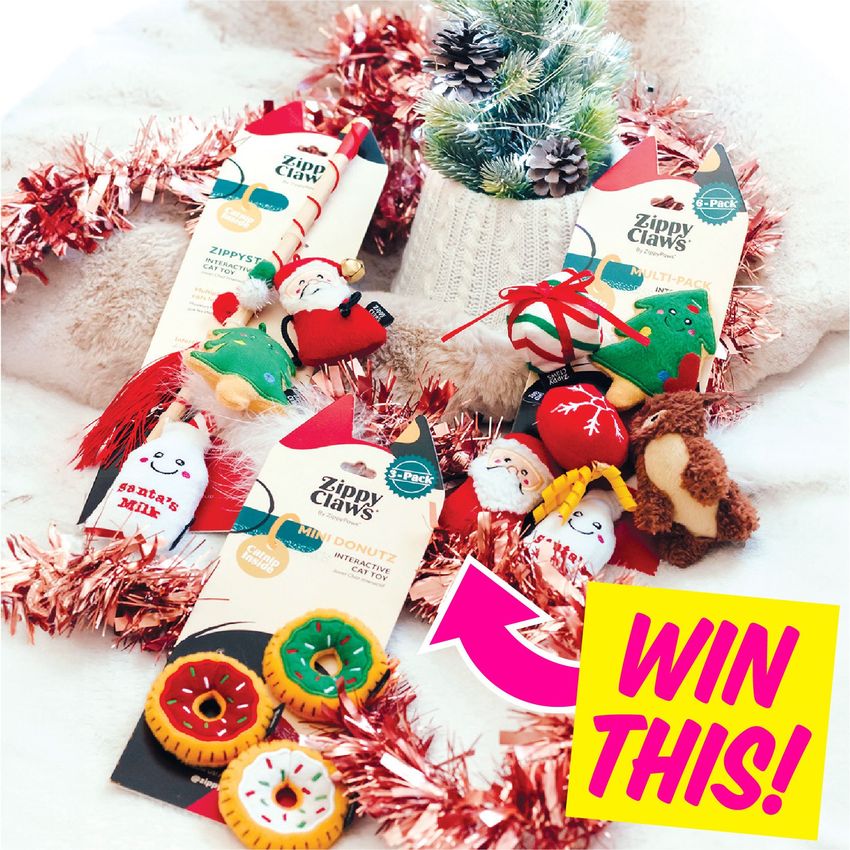 Giveaway image 1