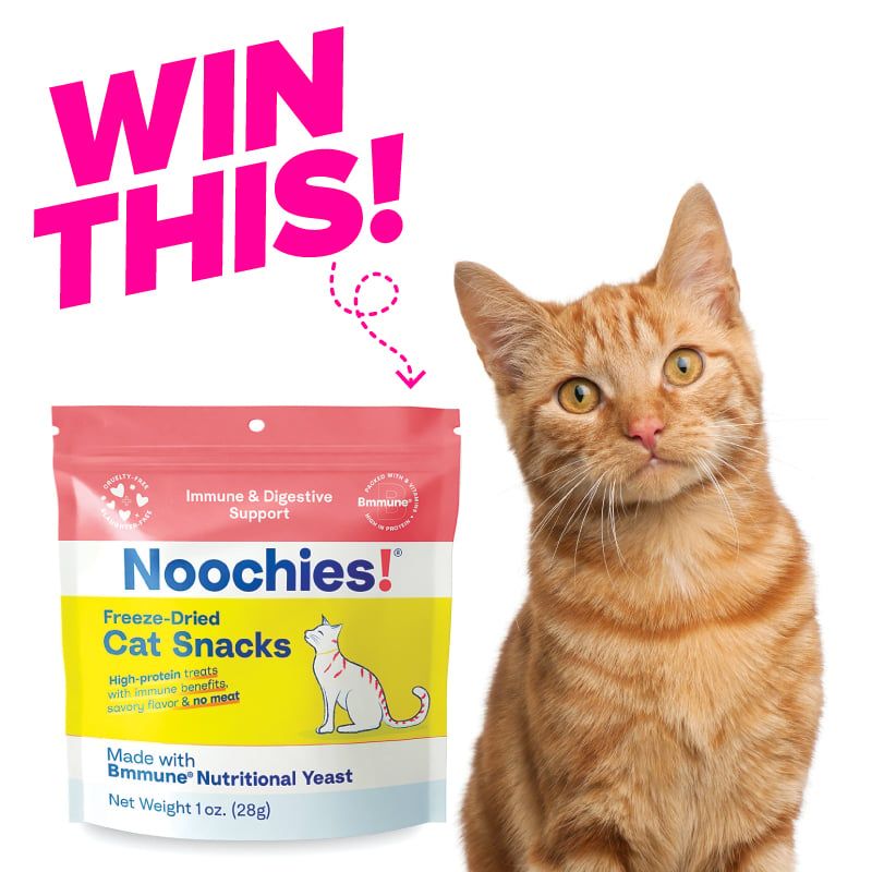 Giveaway image 1