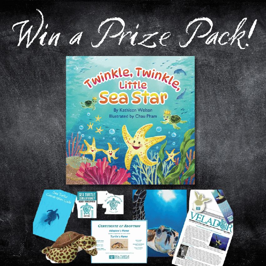 Giveaway image 1
