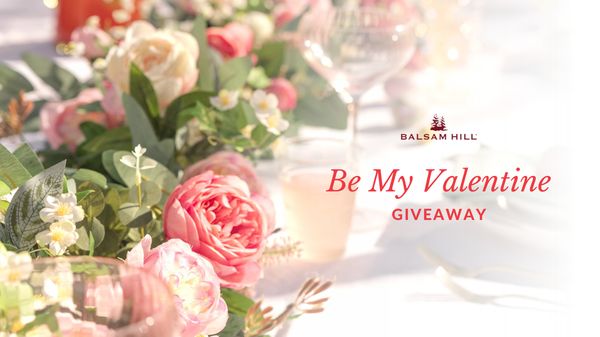 Giveaway image 1