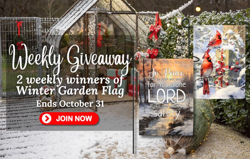 Giveaway image 1