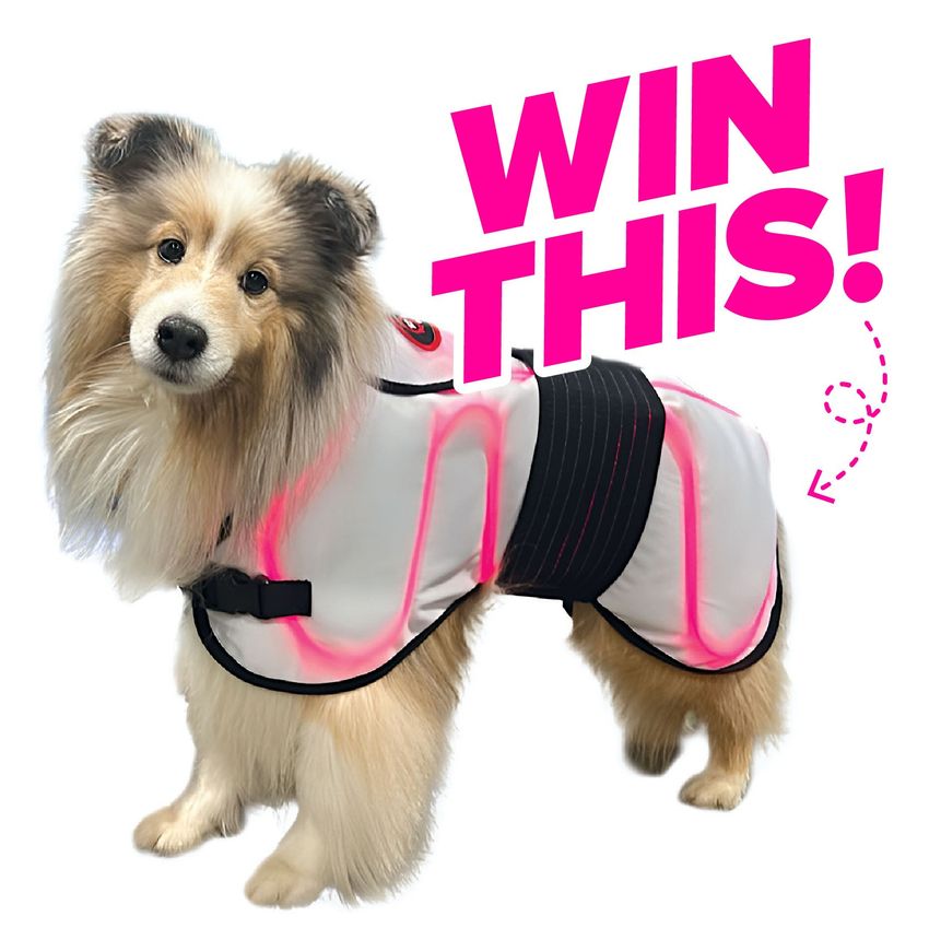 Giveaway image 1