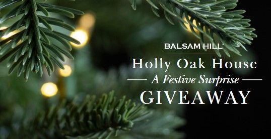 Giveaway image 1