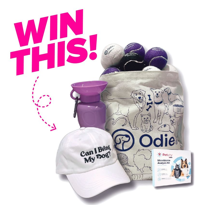 Giveaway image 1