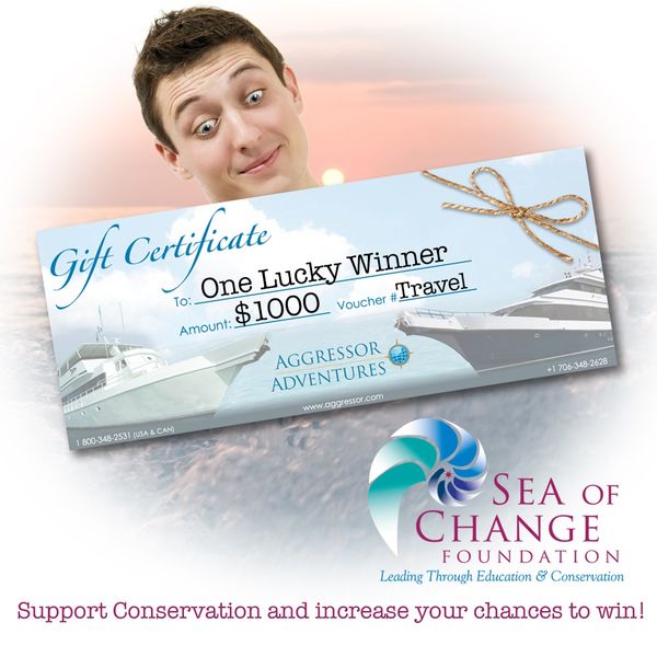 Giveaway image 1