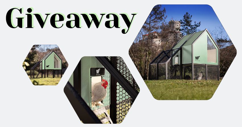 Giveaway image 1