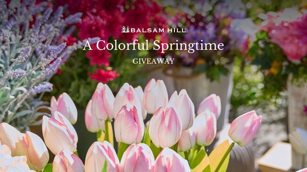 Giveaway image 1
