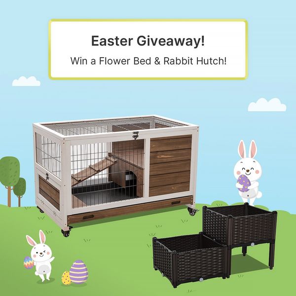 Giveaway image 1