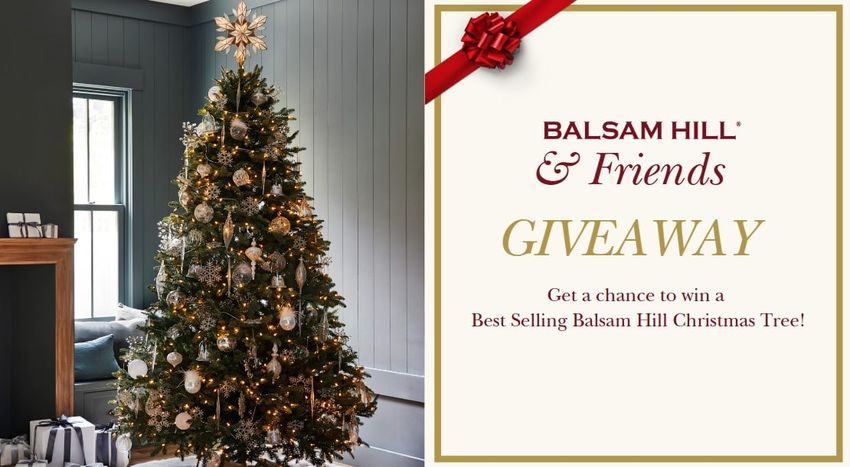 Giveaway image 1
