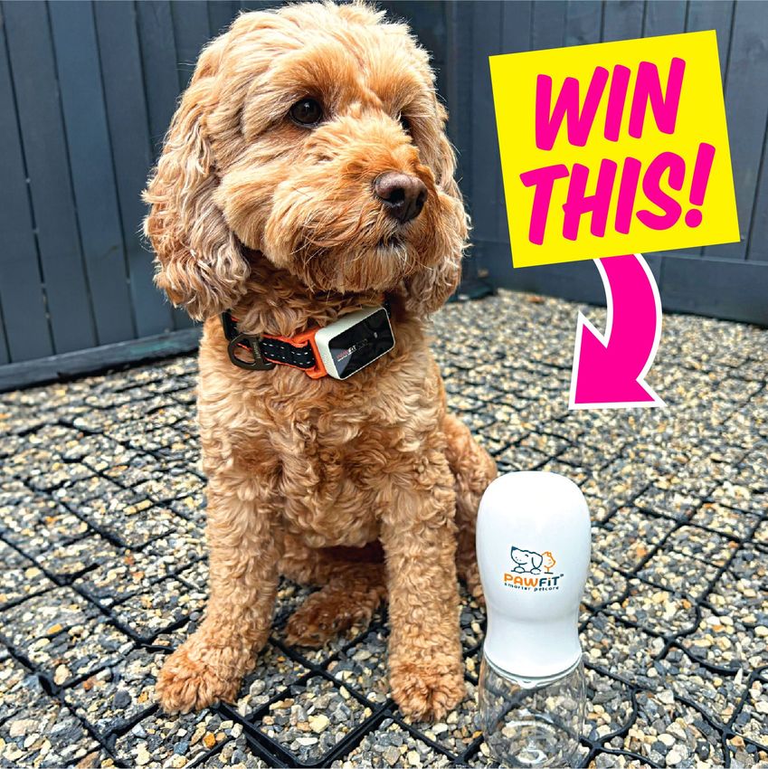 Giveaway image 1