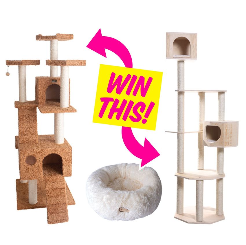 Giveaway image 1