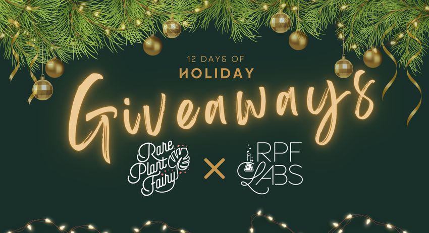 Giveaway image 1