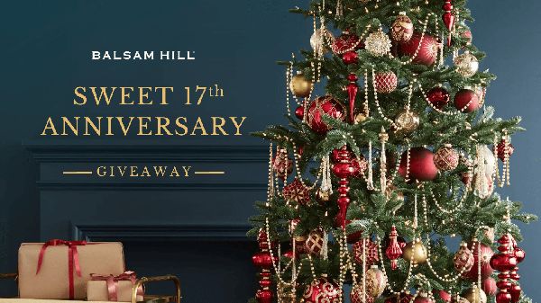 Giveaway image 1