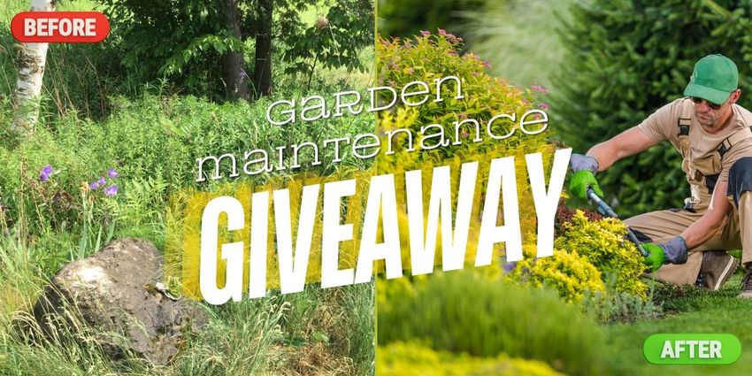 Giveaway image 1
