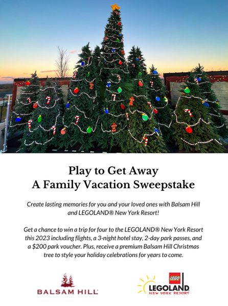 Giveaway image 1