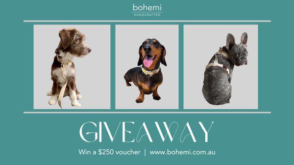 Giveaway image 1