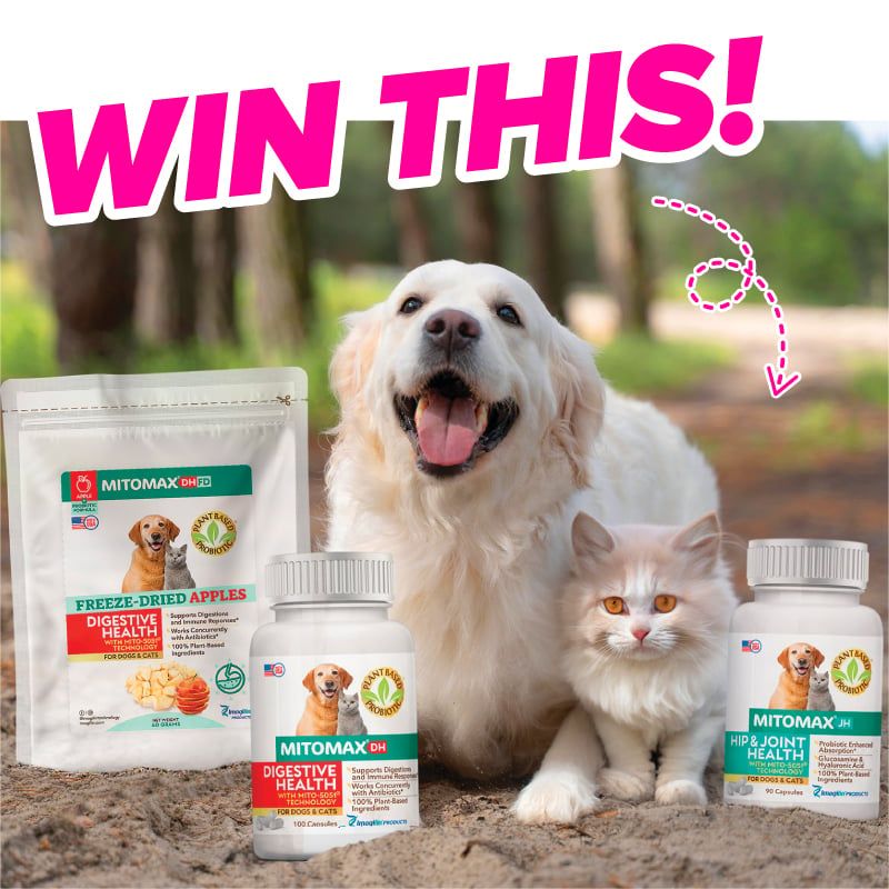 Giveaway image 1