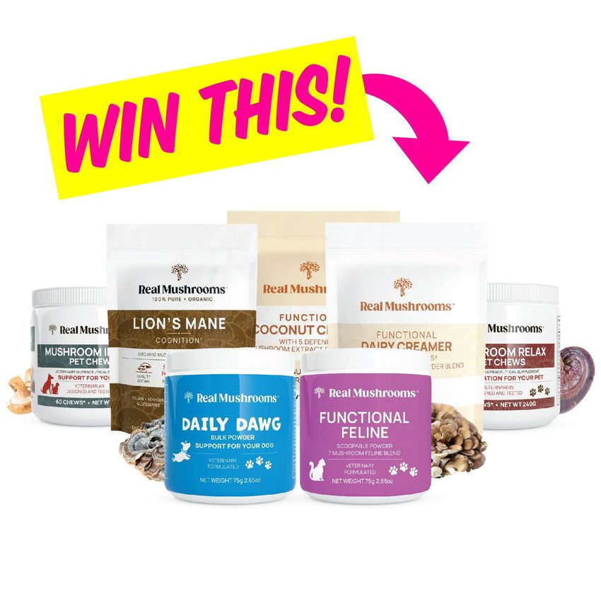Giveaway image 1