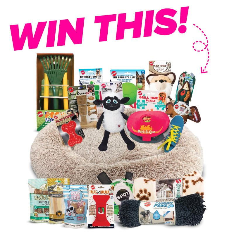 Giveaway image 1