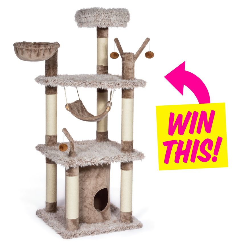 Giveaway image 1