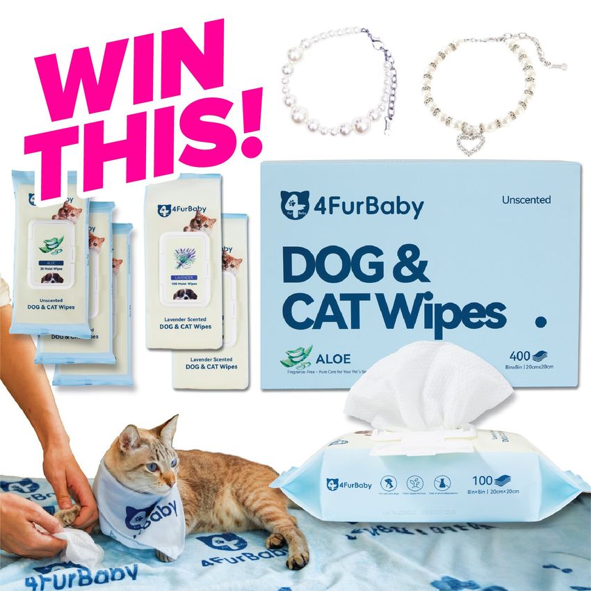 Giveaway image 1
