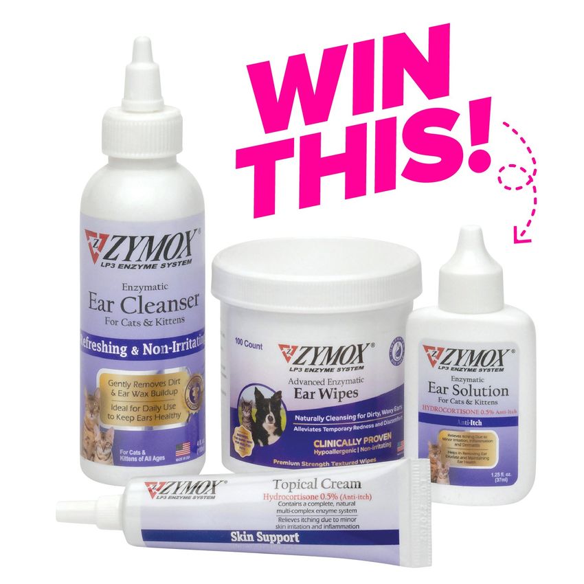 Giveaway image 1