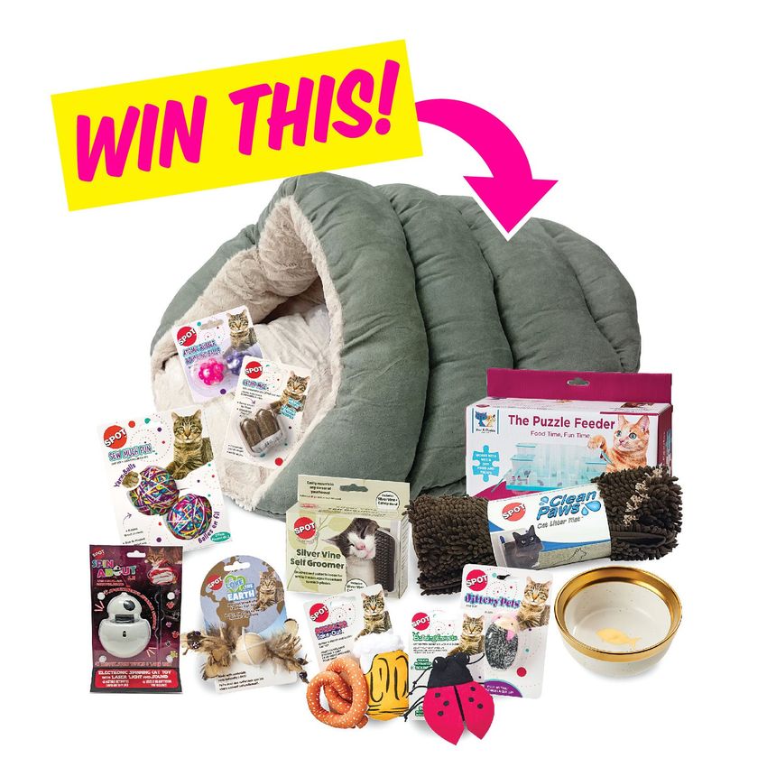 Giveaway image 1
