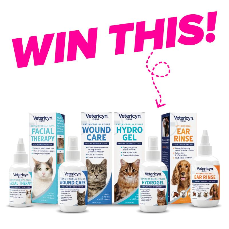 Giveaway image 1