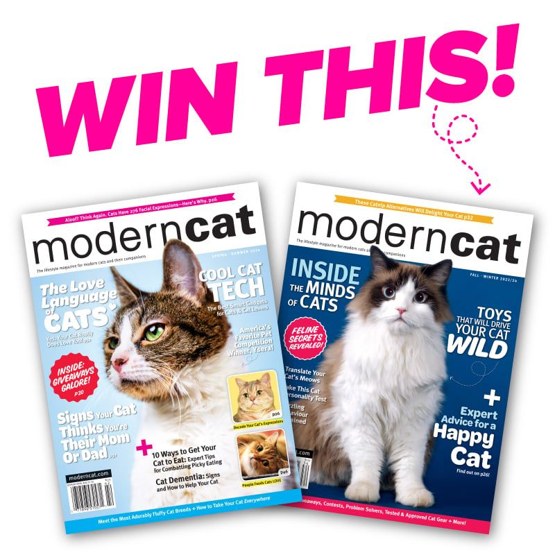 Giveaway image 1