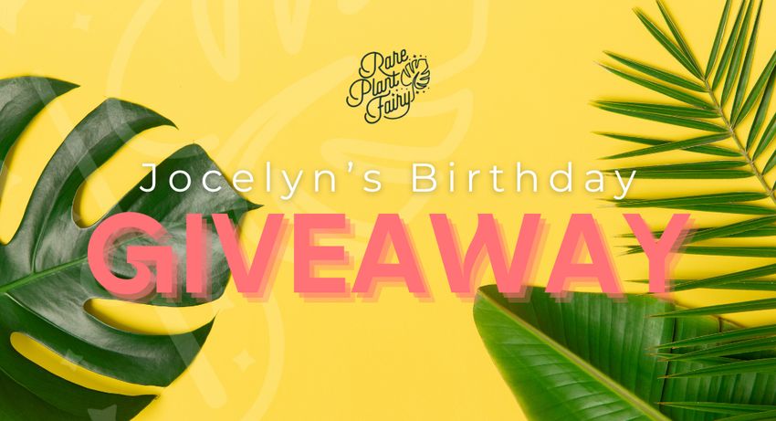 Giveaway image