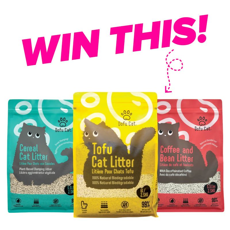 Giveaway image 1