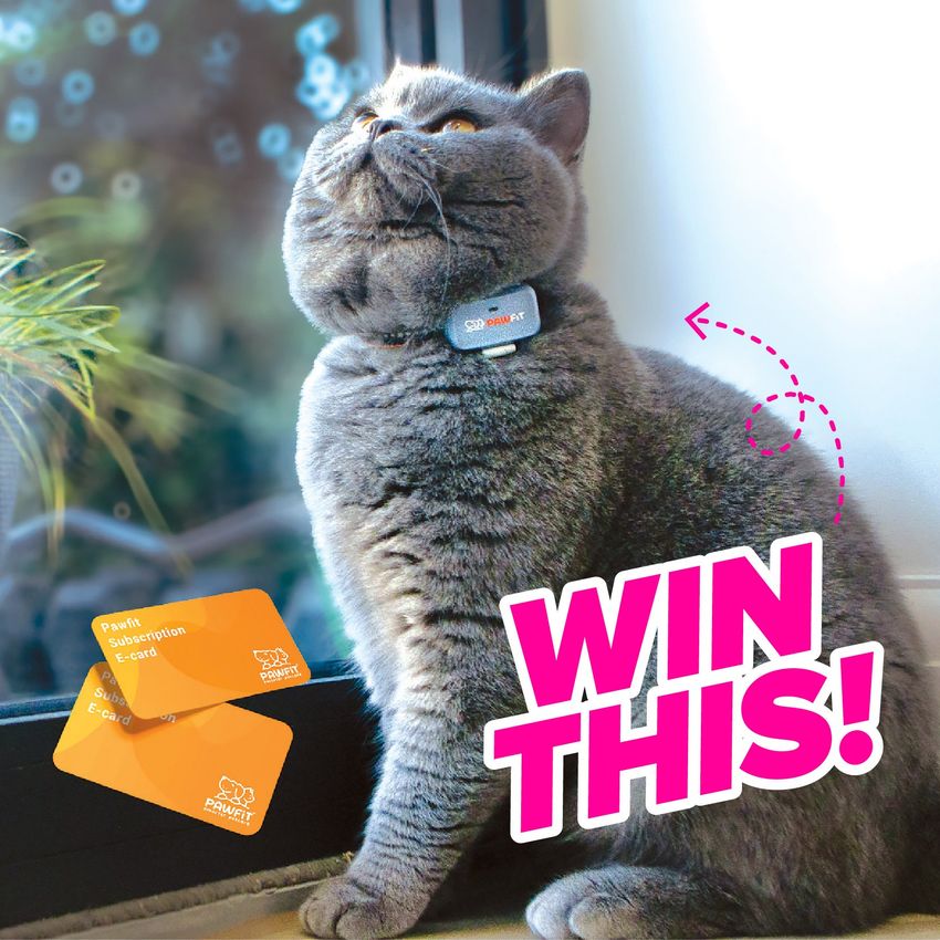 Giveaway image 1