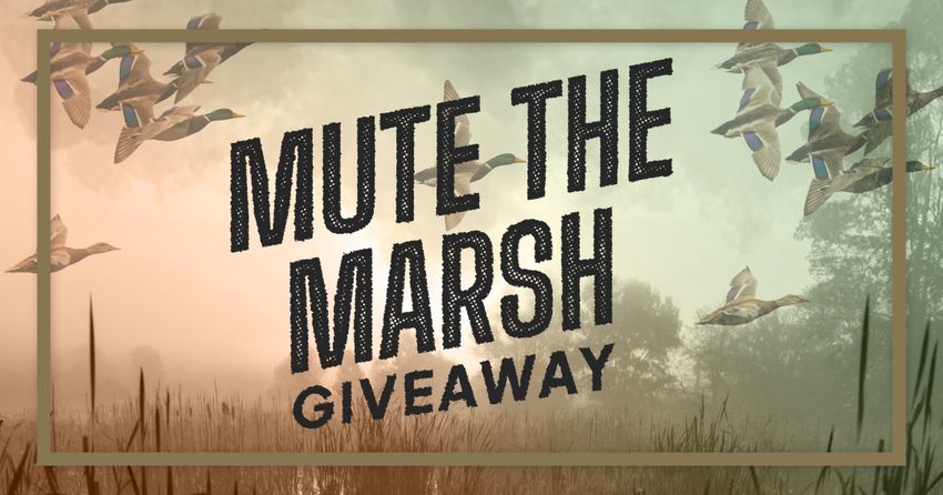 Giveaway image