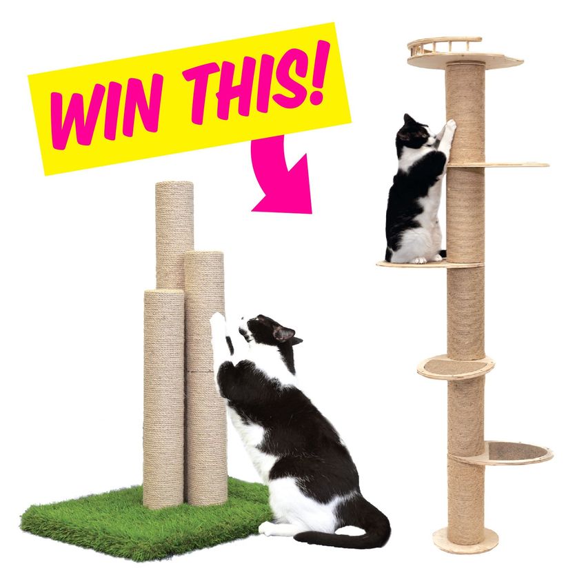 Giveaway image 1