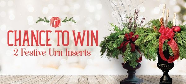 Giveaway image 1
