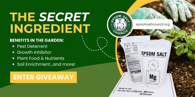 Giveaway image 2