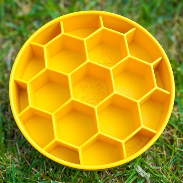 Giveaway image 2