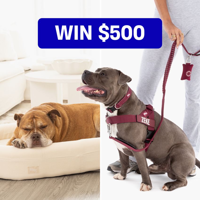 Giveaway image 1