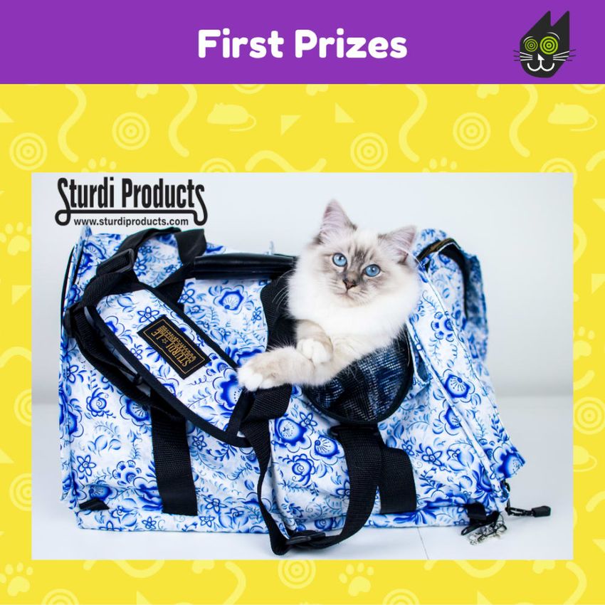 Giveaway image 1