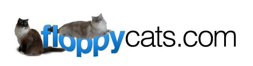 Giveaway image 2