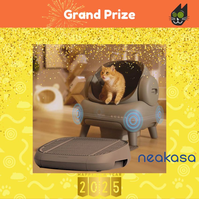 Giveaway image 4