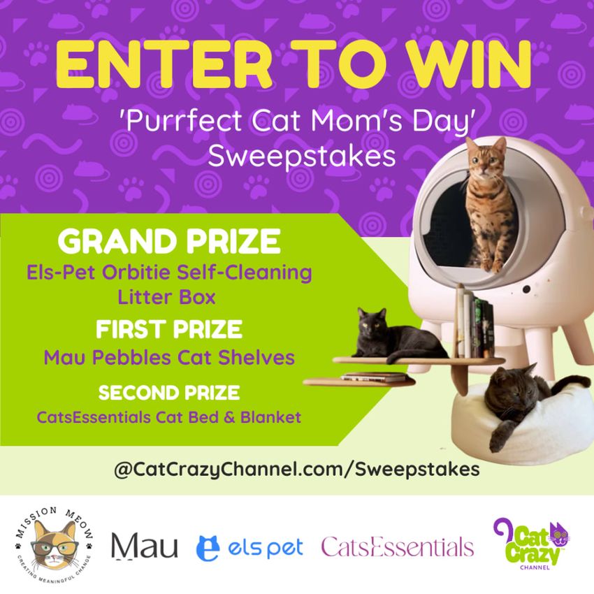 Giveaway image 5