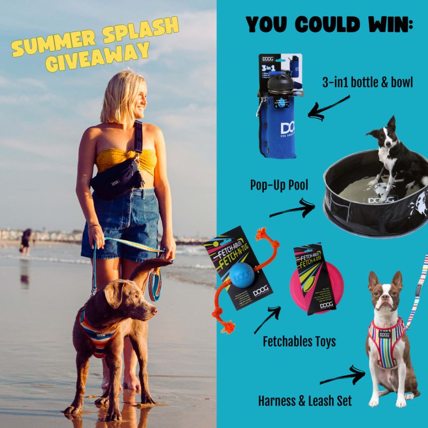 Giveaway image 1