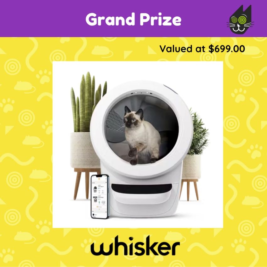 Giveaway image 4