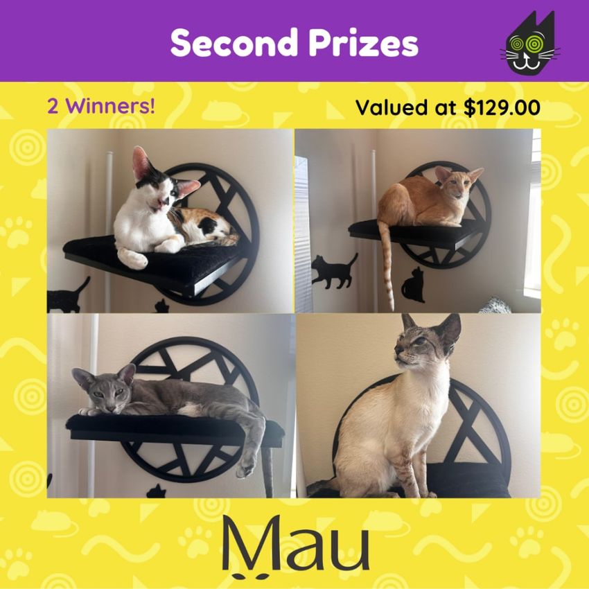 Giveaway image 6