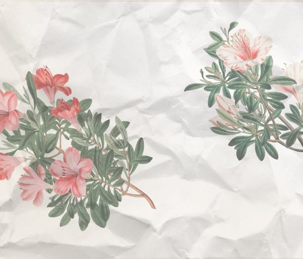 Giveaway image 3